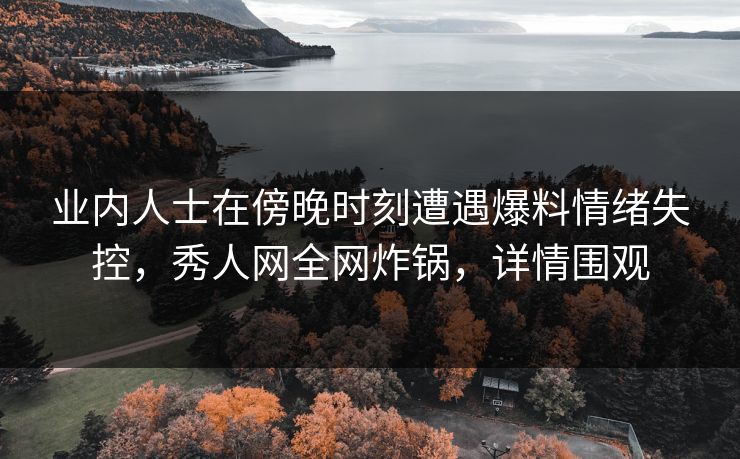 业内人士在傍晚时刻遭遇爆料情绪失控，秀人网全网炸锅，详情围观