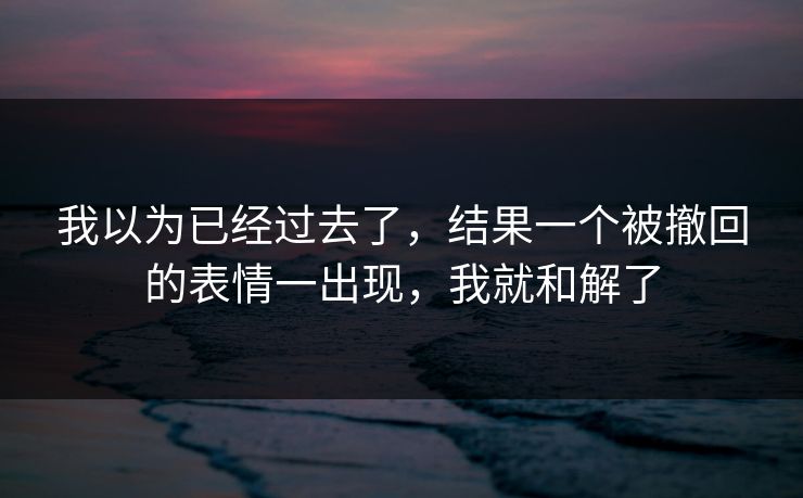 我以为已经过去了，结果一个被撤回的表情一出现，我就和解了
