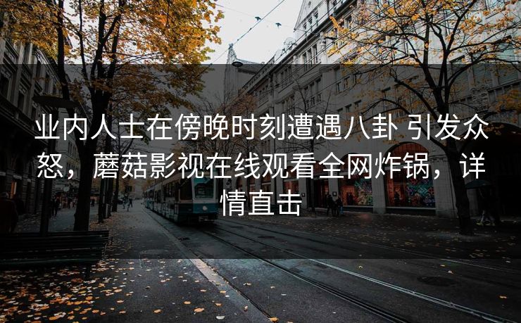 业内人士在傍晚时刻遭遇八卦 引发众怒，蘑菇影视在线观看全网炸锅，详情直击